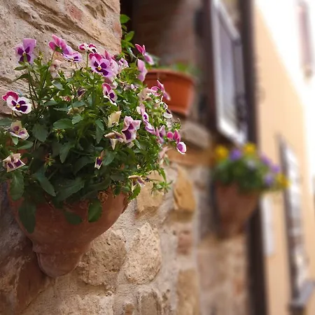 La Paterna Di Rigomagno
