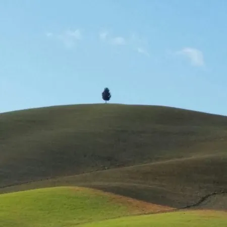 La Paterna Di Rigomagno Apartamento Sinalunga
