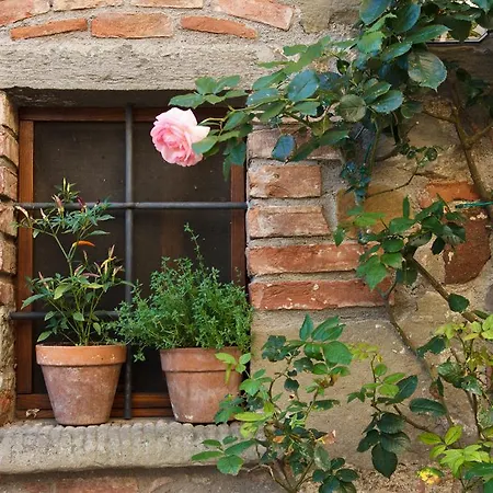 La Paterna Di Rigomagno Sinalunga